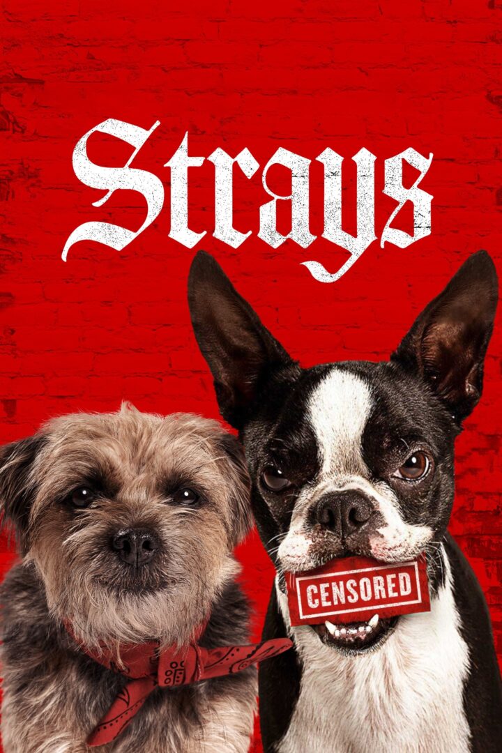 دانلود فیلم Strays 2023 بدون سانسور با پخش آنلاین