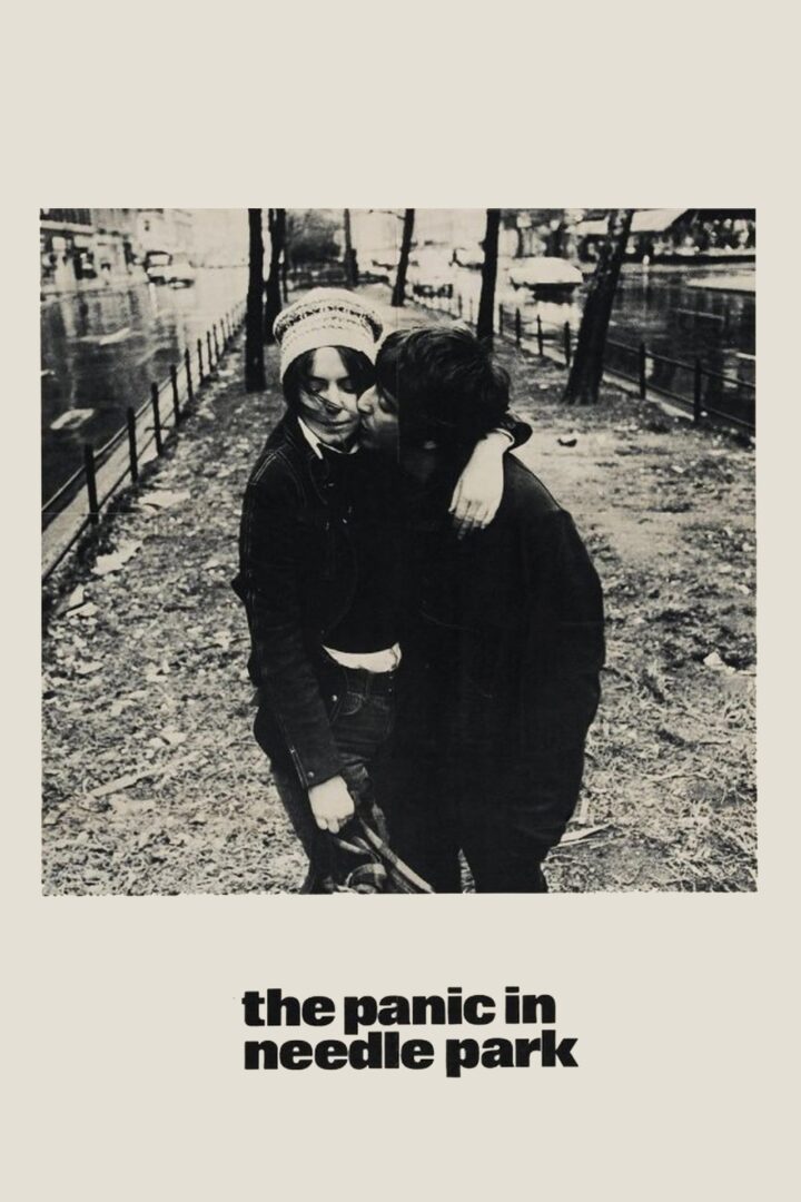 دانلود فیلم The Panic in Needle Park 1971 بدون سانسور با پخش آنلاین